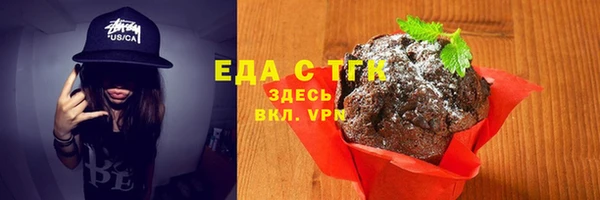 молекула духа Вяземский