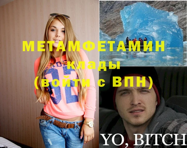 молекула духа Вяземский